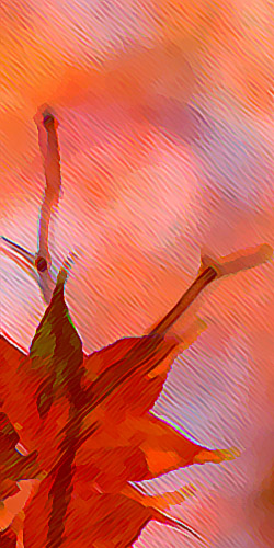  Technique mixte 2003-02 