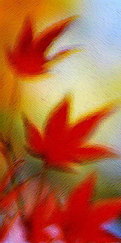  Technique mixte 2003-03 