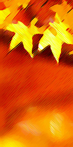  Technique mixte 2003-05 