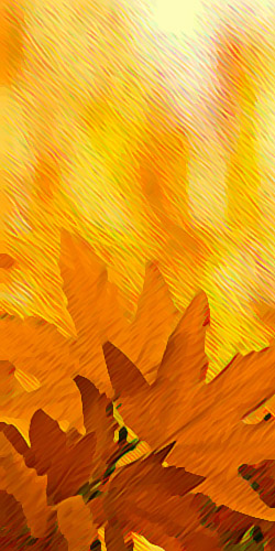  Technique mixte 2003-07 