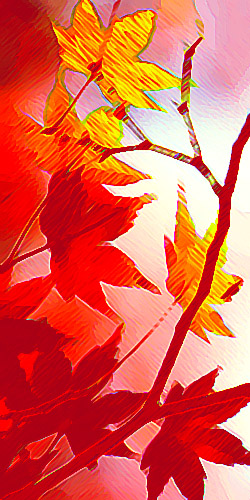  Technique mixte 2003-08 