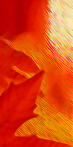  Technique mixte 2003-11 