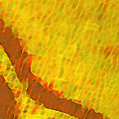  Technique mixte 2005-12 