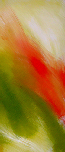  Technique mixte 2008-02 