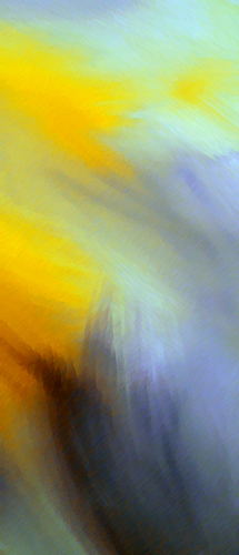  Technique mixte 2008-06 