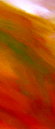  Technique mixte 2008-08 