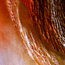  Technique mixte 2011 